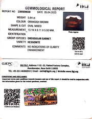 5.64/CT Natural Govt. Lab Certified Ceylonese Gomed-(1221)